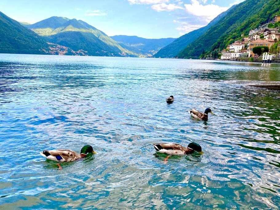Una Finestra Sul Lago Argegno Dış mekan fotoğraf